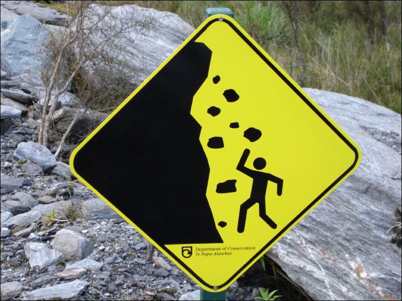 DSC01319_gletscherzunge fox